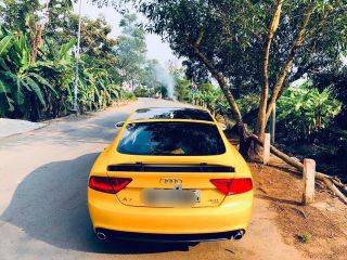 Dan-Doi-Mau-Xe-Audi-A7-Vang-0001-3