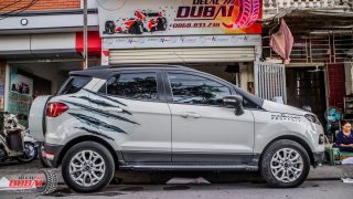 Tem Xe Ford Ecosport 0011