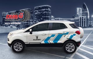 Tem Xe Ford Ecosport 110101