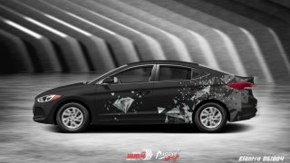 Tem Xe Hyundai Elantra 0005