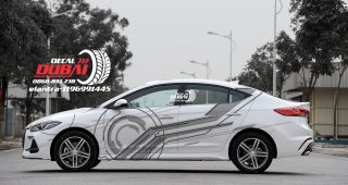 Tem Xe Hyundai Elantra 0025