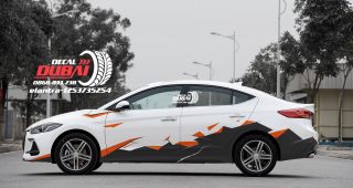Tem Xe Hyundai Elantra 0027