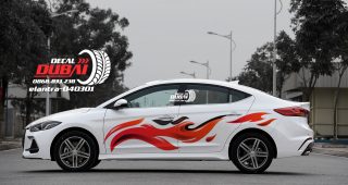 Tem Xe Hyundai Elantra 0034
