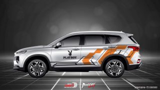 Tem Xe Hyundai Santafe 0011