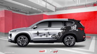 Tem Xe Hyundai Santafe 0022