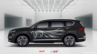 Tem Xe Hyundai Santafe 0025