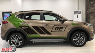 Tem Xe Hyundai TucSon 0017