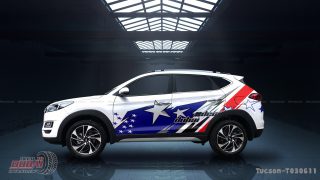 Tem Xe Hyundai TucSon 0029