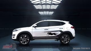 Tem Xe Hyundai TucSon 0032