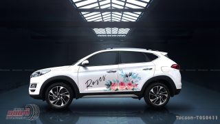 Tem Xe Hyundai TucSon 0036