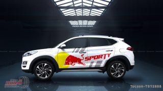Tem Xe Hyundai TucSon 0044