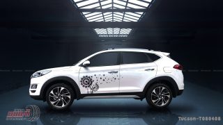 Tem Xe Hyundai TucSon 0047