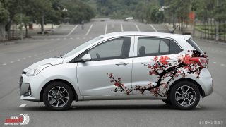 Tem Xe i10 Hoa Đào