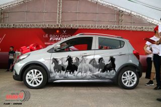 Tem Xe Vinfast Fadil 110501